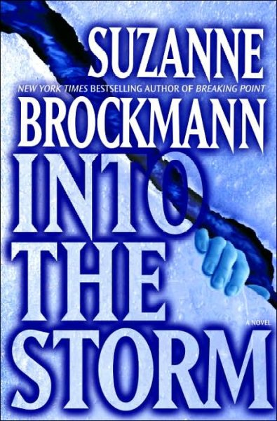 Into the storm : a novel / Suzanne Brockmann.