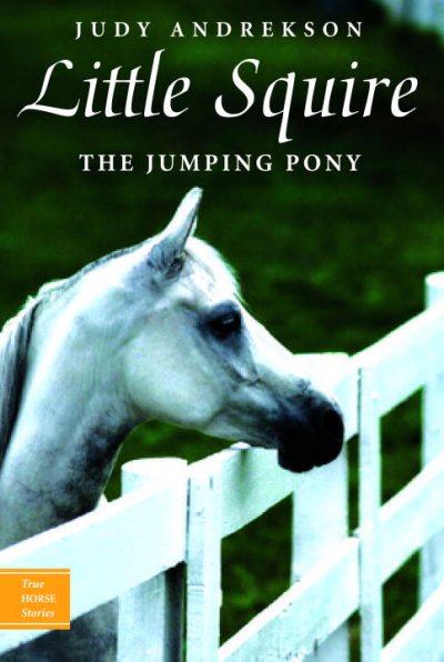 Little squire the jumping pony / Judy Andrekson (author), David Parkins (illustrator).