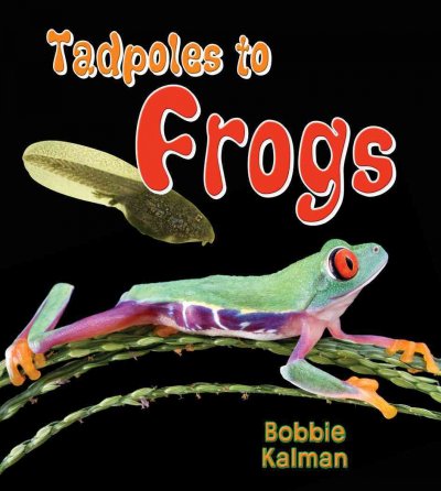 Tadpoles to frogs [Paperback] / Bobbie Kalman.