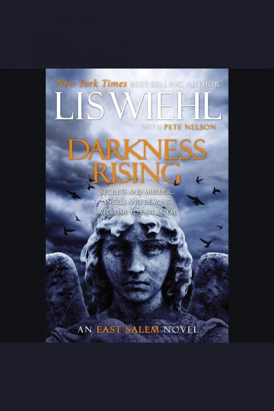 Darkness rising [electronic resource] / Lis W. Wiehl with Pete Nelson.