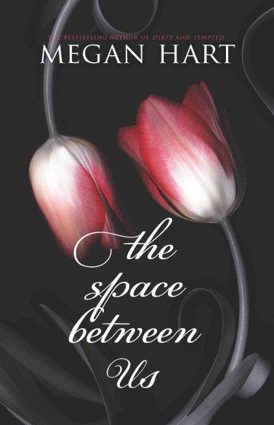 The space between us [electronic resource] / Megan Hart.
