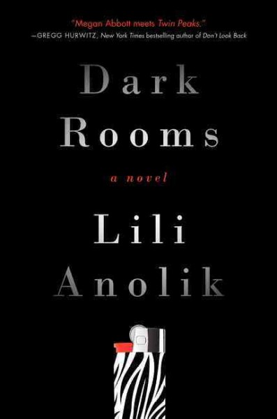 Dark rooms : a novel / Lili Anolik.