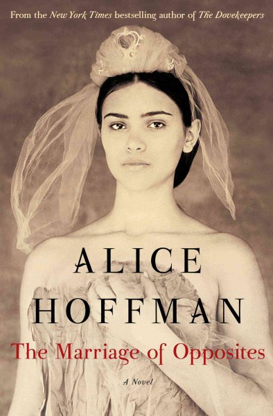 The marriage of opposites : a novel / Alice Hoffman.