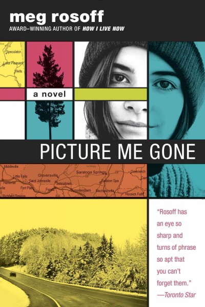 Picture me gone : a novel / Meg Rosoff.