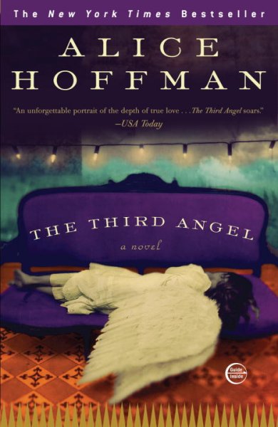The third angel : a novel / Alice Hoffman.