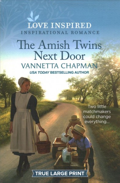 The Amish twins next door [large print] / Vannetta Chapman.
