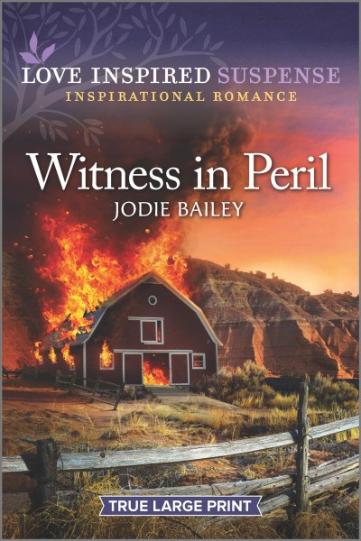 Witness in peril [large print] / Jodie Bailey.
