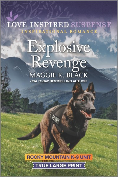 Explosive revenge / Maggie K. Black.
