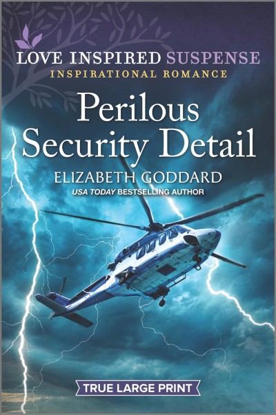 Perilous security detail / Elizabeth Goddard.