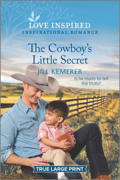 The cowboy's little secret / Jill Kemerer.