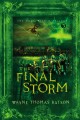 The final storm  Cover Image