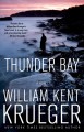 Thunder Bay : a novel  Cover Image
